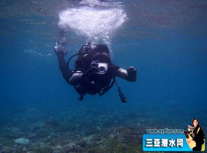 吴京潜水